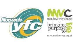 MeadowWayandNYFCLogos600