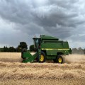We reap what we sow